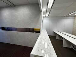 51 Cuppage Road (D9), Office #540477101